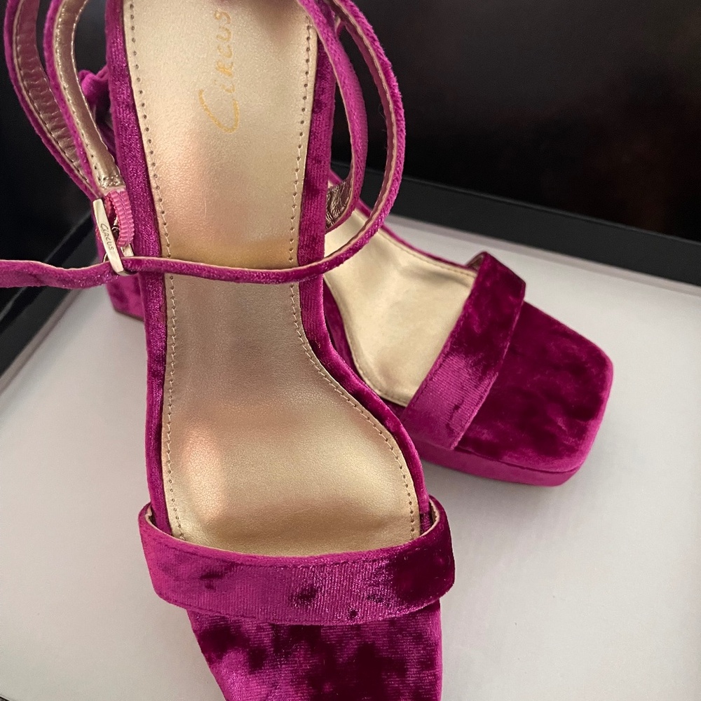 Circus Sam Edelman
